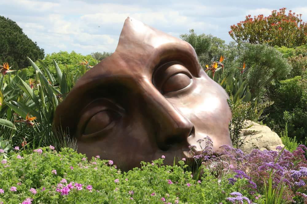 art in a green garden as a socially responsible investment