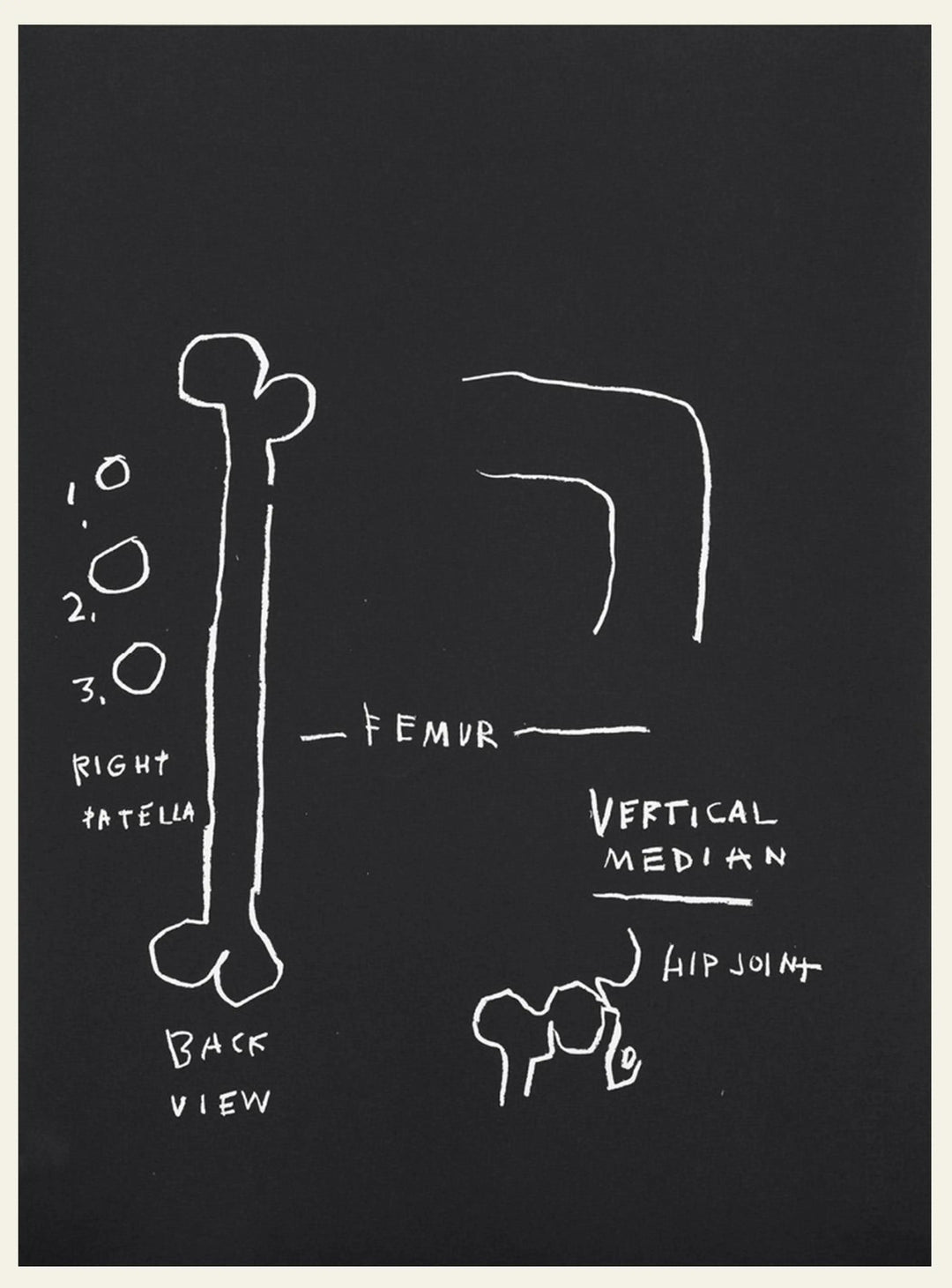 Anatomy, Vertical Median